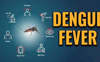 Dengue Fever