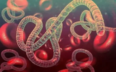 The Science Behind Ebola