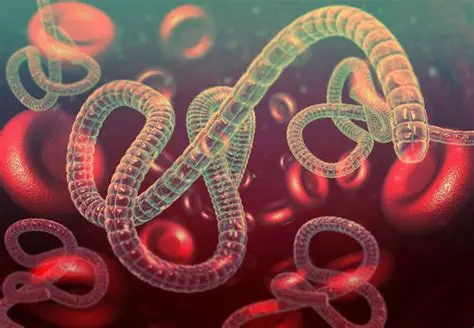 The Science Behind Ebola